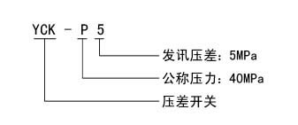 YCK-P5型壓差開關